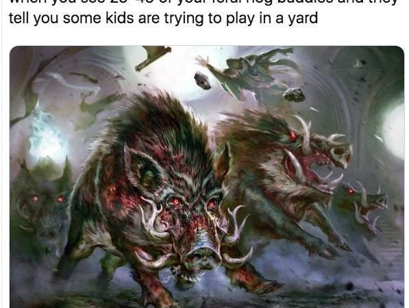 Let’s go Hog Wild on the new site!