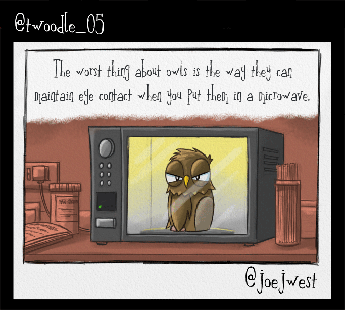 owls-are-the-worst.gif