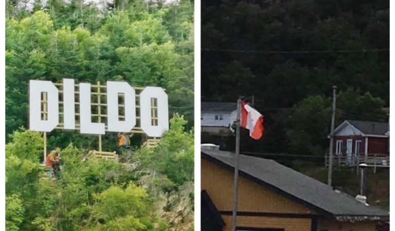 The town of Dildo, Newfoundland, Canada just erected a sign