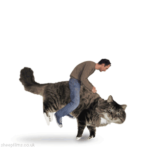 catrider_fydementia-091211.gif