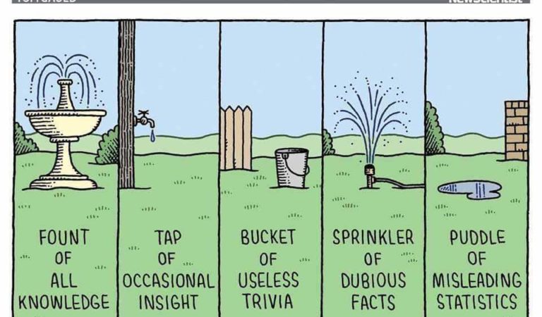 What does your backyard have?