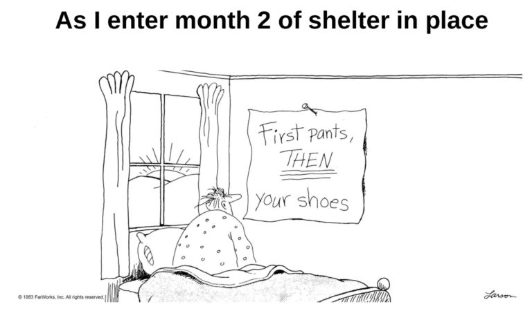 All credit to the great Gary larson, of course