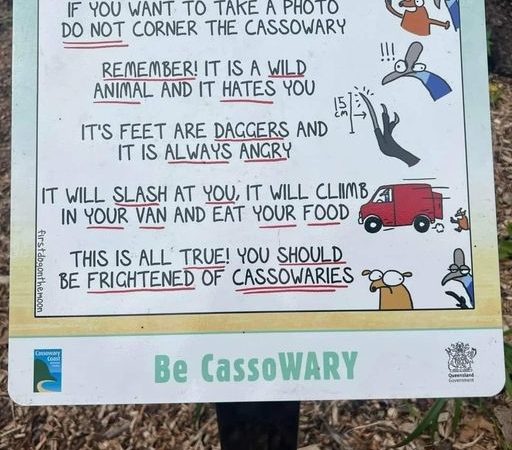 Is this Aussies scariest creature?