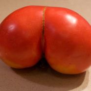 Profile picture of Vee Unit